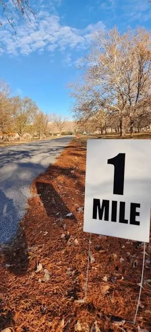 A rain-wet kilometer marker painted on suburban asphalt beside a small orange traffic cone, no runners.