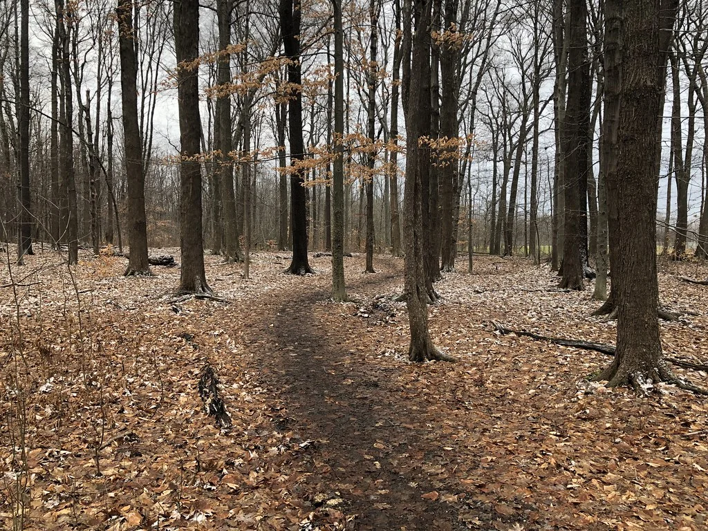 Mud-caked calves and trail gaiters mid-stride on rocky singletrack.