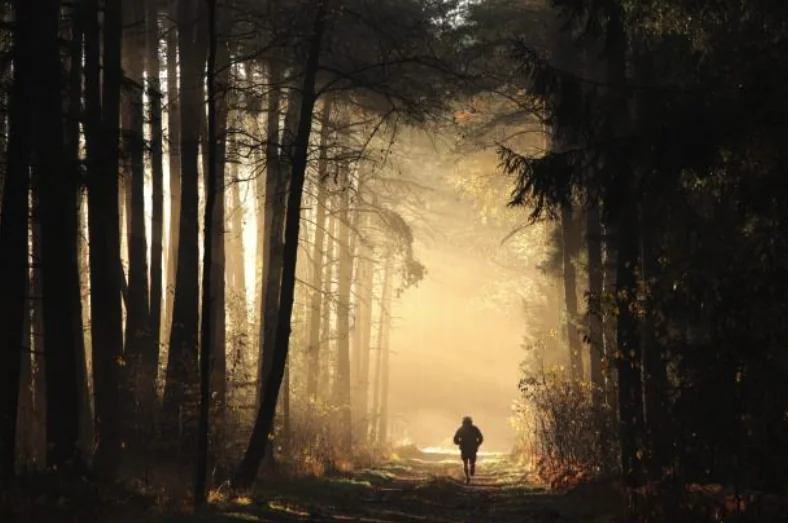 A solo runner mid-stride at sunrise on an empty country road, breath visible in cold air.