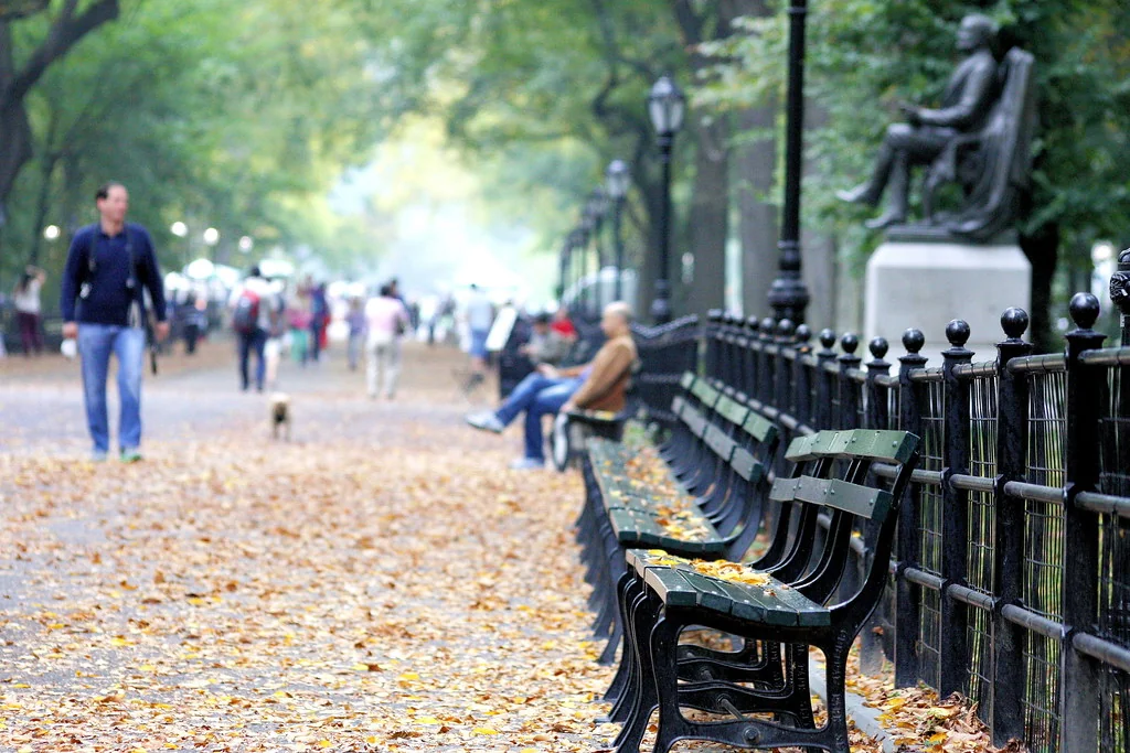 A water bottle, GPS watch, and notebook resting on a park bench beside a pair of running shoes.
